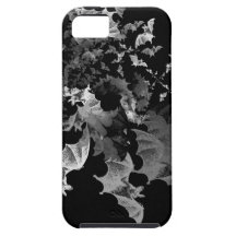 Fibonacci Bats Black