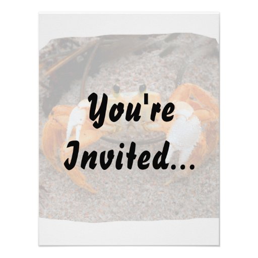 Fiddler Crab On Beach Colourized Orange Personalized Invites