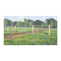 Field of Bluebonnets Wrapped Canvas Stretched Canvas Print
