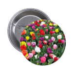 Field of Colourful Tulips Button