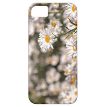 Field of Daisies iPhone 5 Case