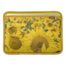 Field of Sunflowers 11" MacBook Sleeve
