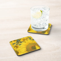 Field of Sunflowers Cork Coasters