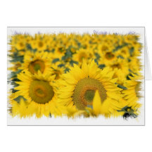 Field of Sunflowers Greeting Card