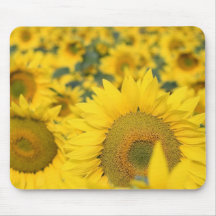 Field of Sunflowers Mouse Pad