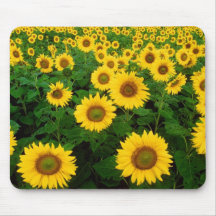 Field of Sunflowers Mousepads