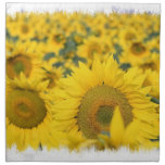 Field of Sunflowers Set of Four Napkins