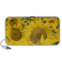 Field of Sunflowers Speakers