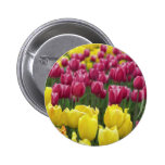 Field of Tulips Pinback Button