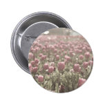 Field of tulips pinback button