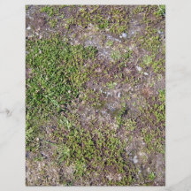 Field with Some Grass Personalized Flyer