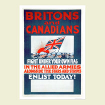 Fight Under Your Own Flag (US02106) posters