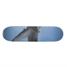 Fighters Jets Planes Skate Deck