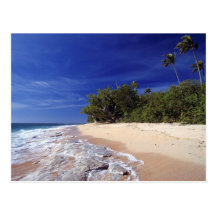 Fiji Islands, Tavarua. This beach on Tavarua, Postcard