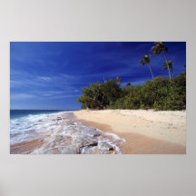 Fiji Islands, Tavarua. This beach on Tavarua, Poster