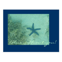 Fiji Post Cards