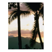 Fiji Sunset Post Cards
