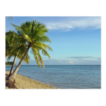 Fijian Beach and Palm Trees Post Card