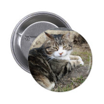 Fill Button Template
