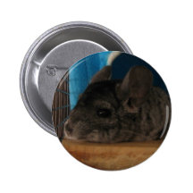 Finally Home Chinchillas: Cheech Pin