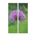 Fine Art Print: Purple Alium Stretched Canvas Print