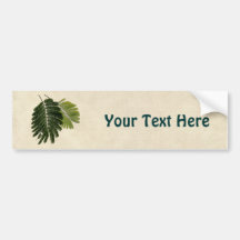 Fine Leaved Ferns Embossed Bumper Sticker