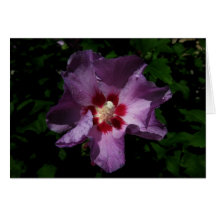 Finnish-Hyvää Syntymäpäivää-purple flower Card