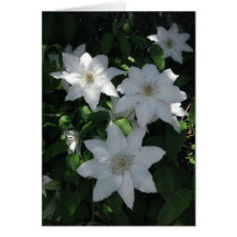 Finnish-Hyvää Syntymäpäivää-white flower Cards