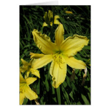 Finnish-Hyvää Syntymäpäivää-Yellow Lily Cards