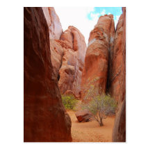 Fins, Arches National Park, Utah, Postcard