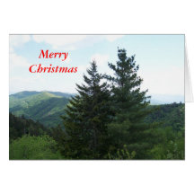 Fir Trees Greeting Cards