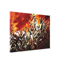 Fire in the corn field stretched canvas prints