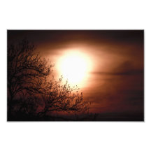 Firebrick Horizon Photo