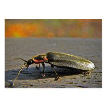 Firefly ATC Business Card Templates
