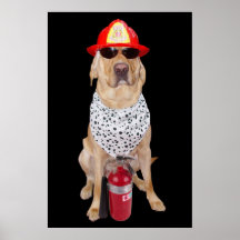 Firehouse Lab Poster