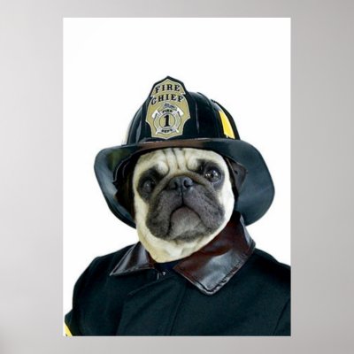 pug poster