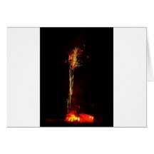 Firework Fun 4 Greeting Cards