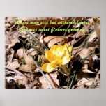 First Crocus of Spring Poster