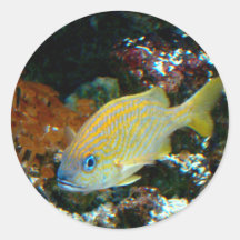 fish 2 Sticker