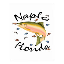 Fish assorted Souvenier Post Cards