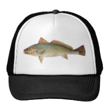 Fish - Mulloway - Sciaena antarctica Mesh Hat