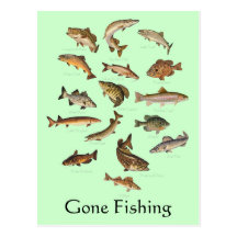 Fish Species "Gone Fishing" Postcard