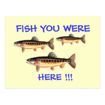 Fish You Were Here Postcard