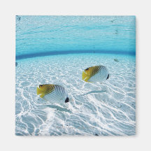 Fishes in the sea 2 refrigerator magnets