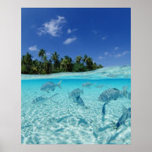 Fishes in the sea poster