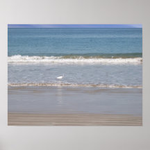 FISHIN’ POSTERS