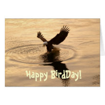 Fishing Bald Eagle at Dusk Funny Birthday Card