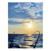 Fishing on Wavy Water Post Card