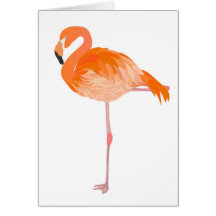 flamingo cards