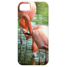 Flamingo Duo iPhone 5 Cover